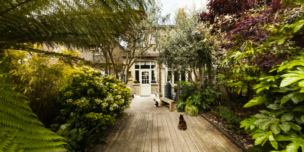 Cattery Surroundings